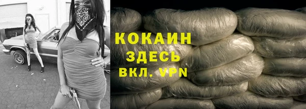 тгк Бородино
