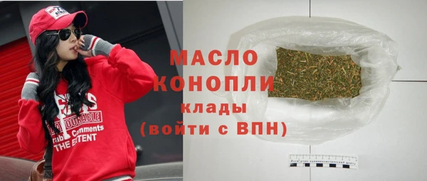 тгк Бородино