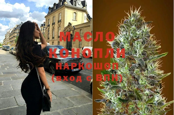 тгк Бородино