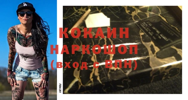 тгк Бородино