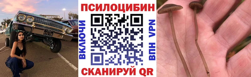mega как войти  Раменское  Галлюциногенные грибы прущие грибы 